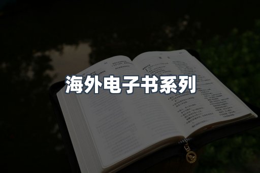 海外电子书系列